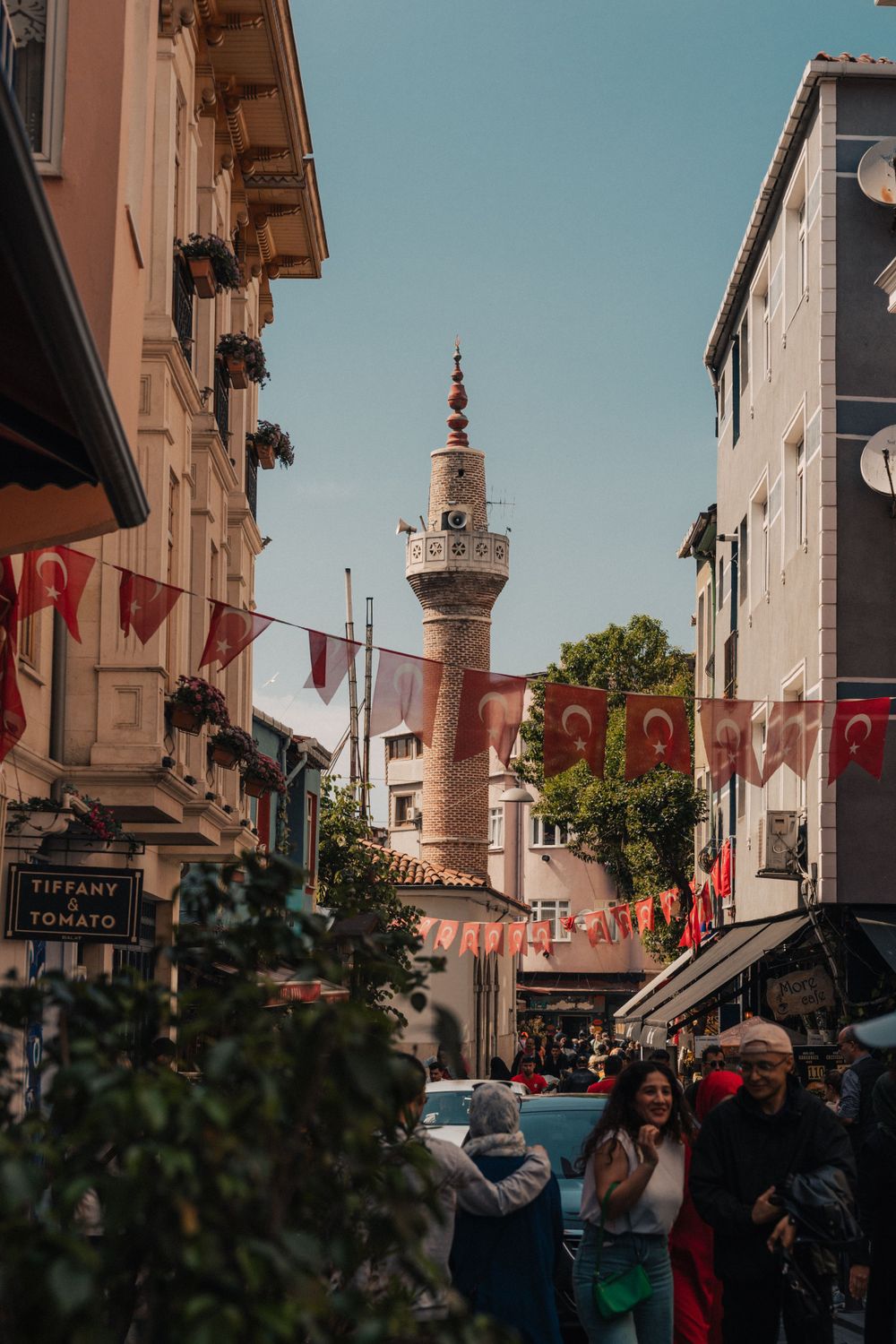 View of mosque in Istanbul, Turkey