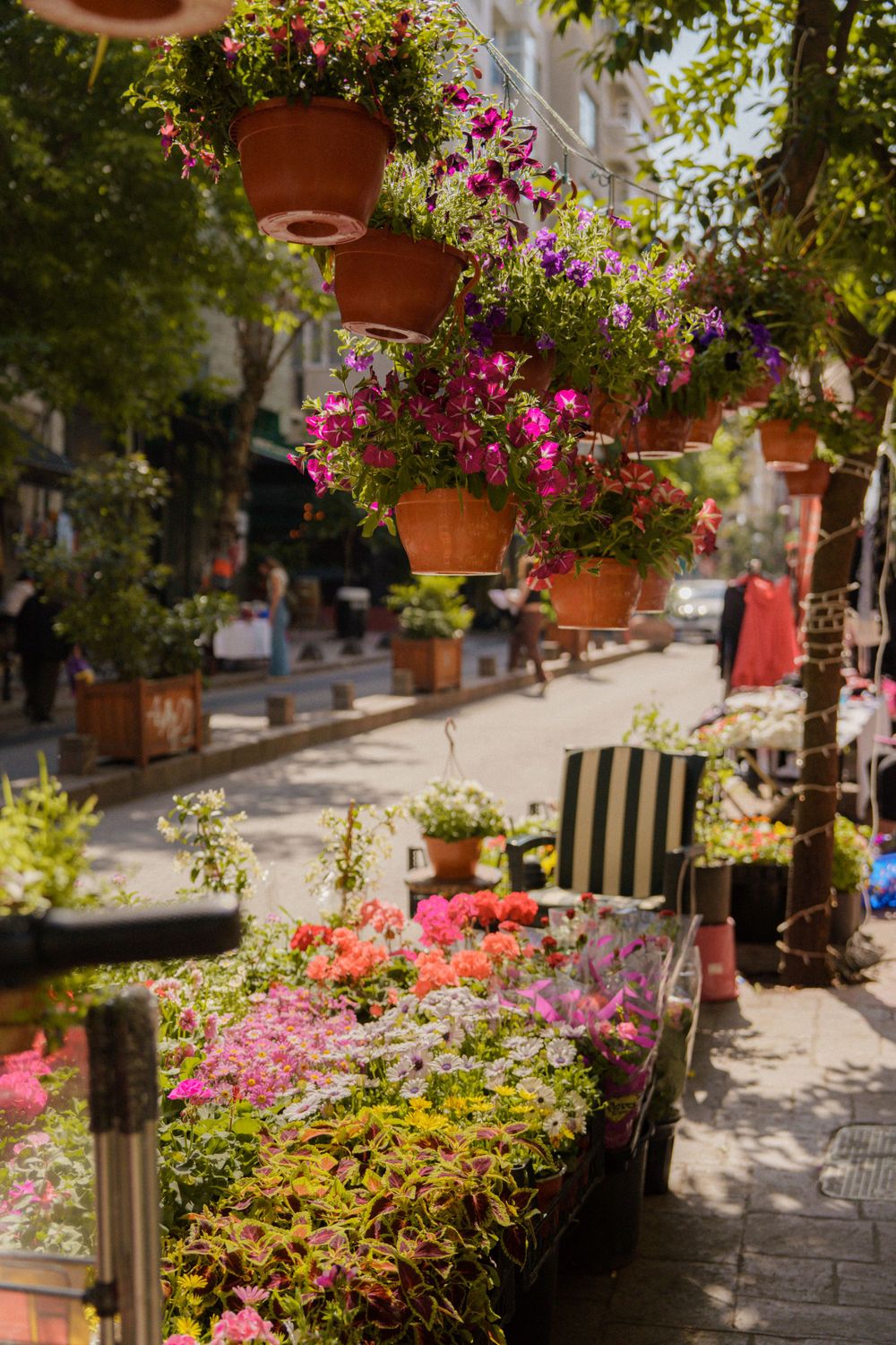 Flower street market, Istanbul, Turkey