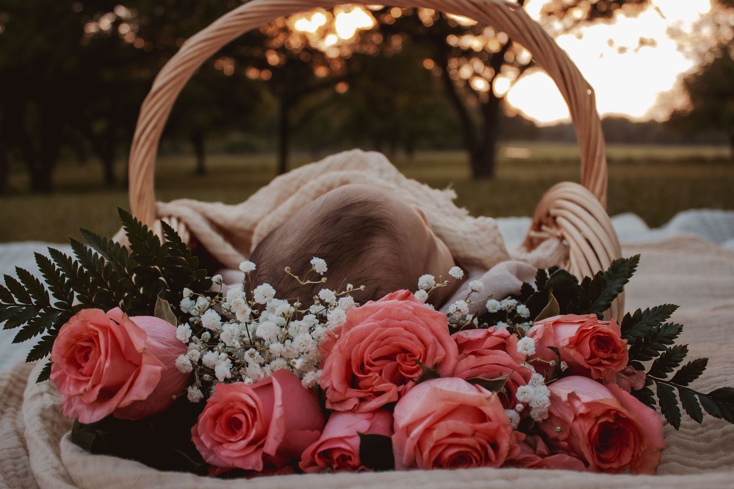Newborn photo shoot/session