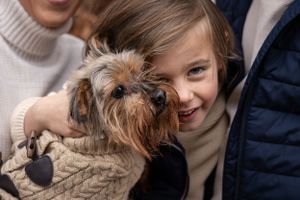 Happy interaction between a small Yorkshire terrier dog and others outdoors.