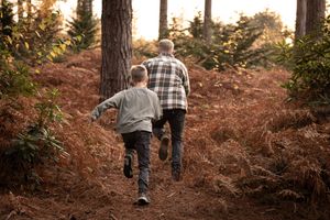 Two people walking together through an autumn forest path with pine trees.