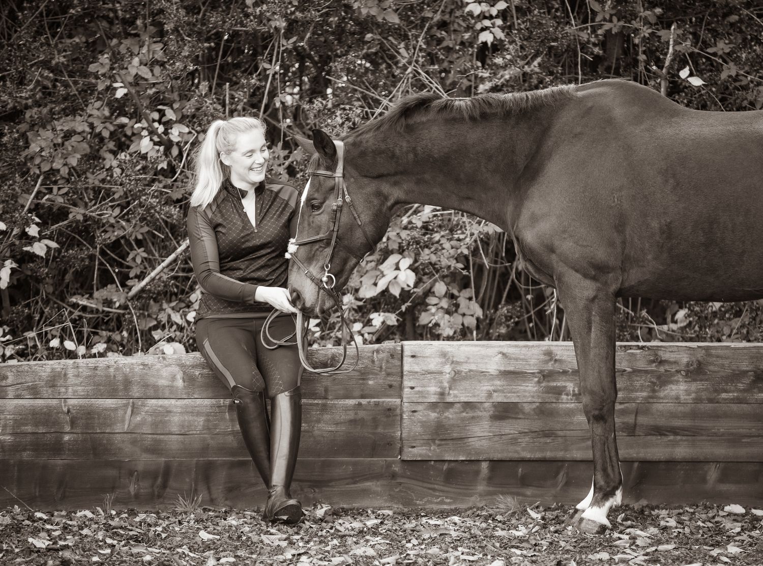 A beautiful black and white paint horse stands with a person on a sunny autumn day outdoors.