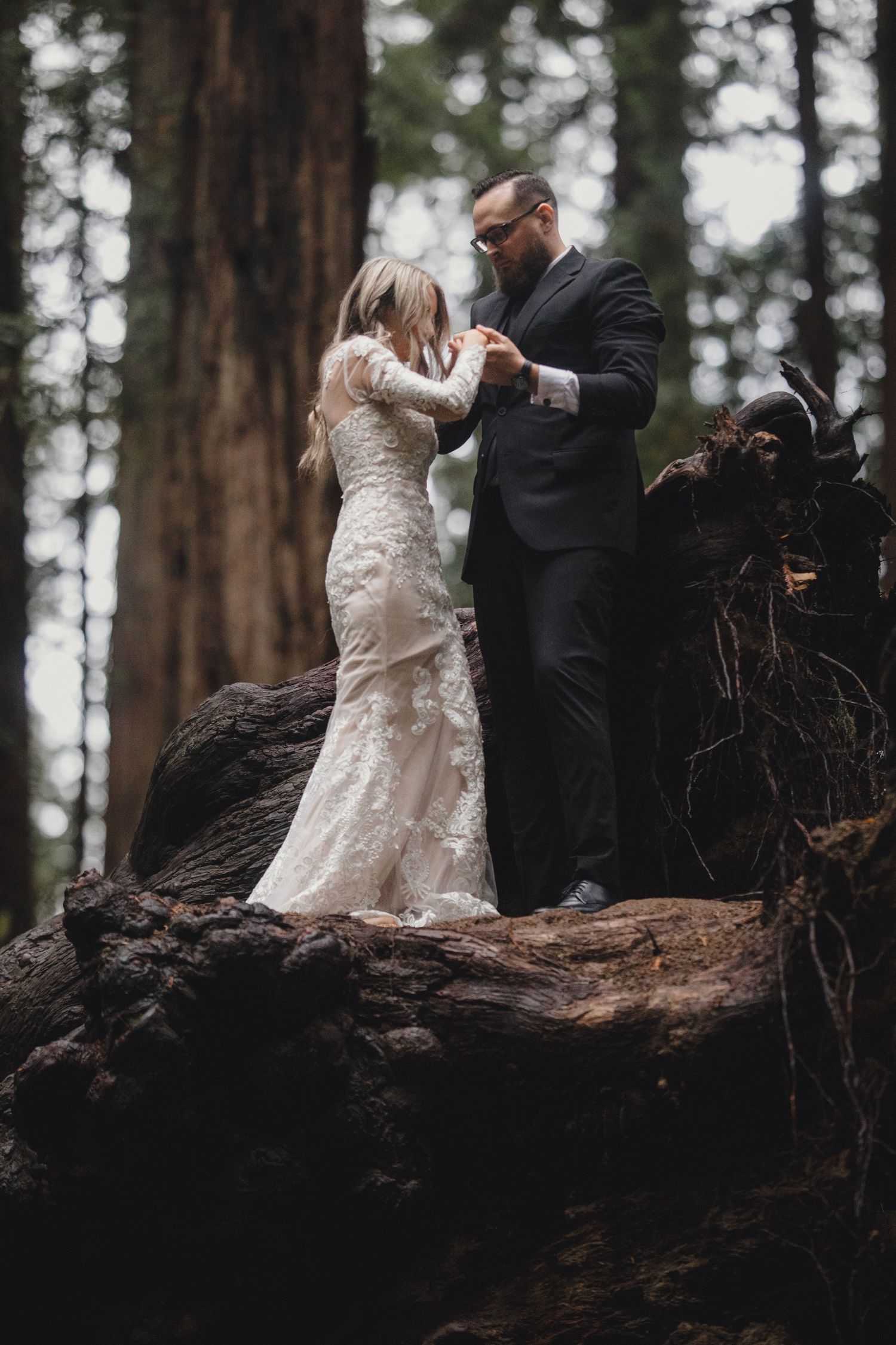 A couple in wedding attire share an intimate moment while standing on a fallen log in a misty redwood forest.