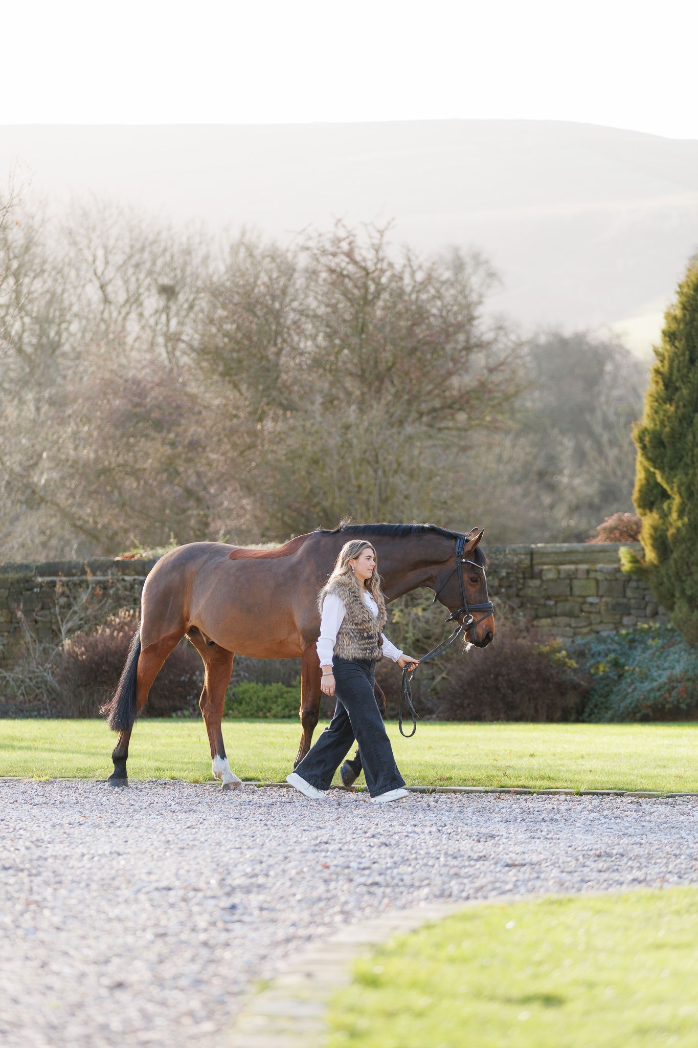 A series of seven photos showing a white horse and rider interacting at a wooden fence in an outdoor setting.