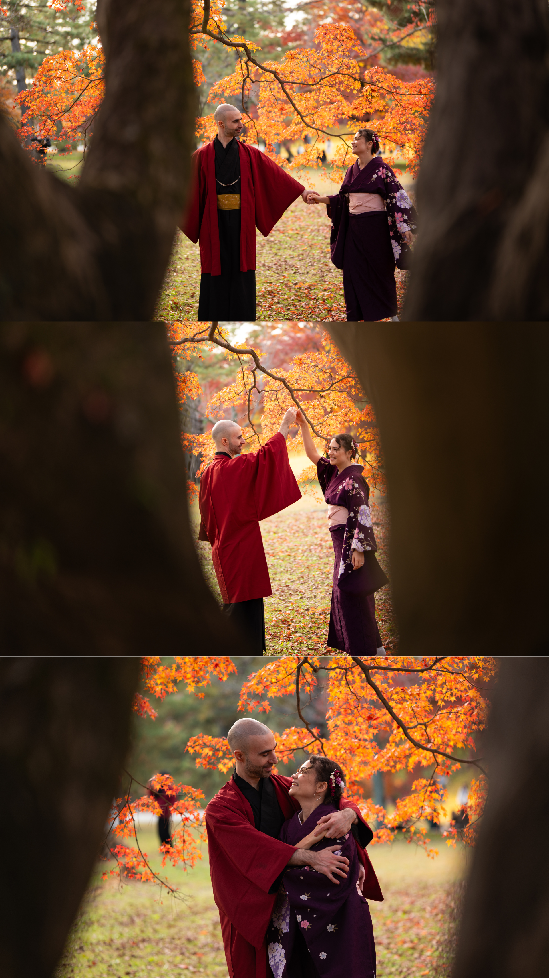 Romantic couple in red and purple kimono sharing tender moments beneath vibrant orange autumn maple branches in Japan.