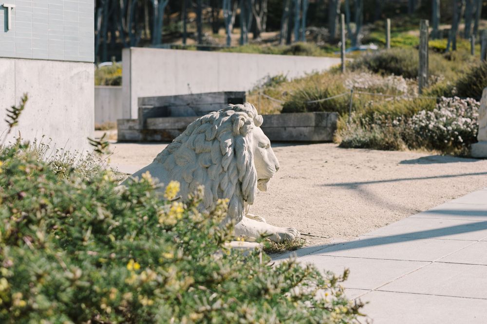 sutro-heights-park-landscape-path-san-francisco