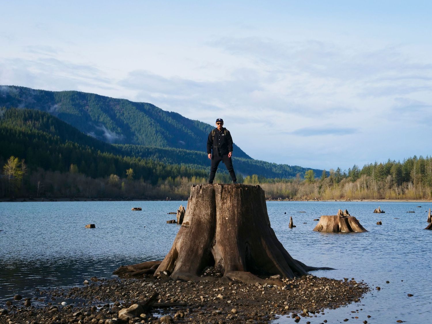 Tree stumps emerge from calm lake waters with mountains and forests creating a scenic backdrop.