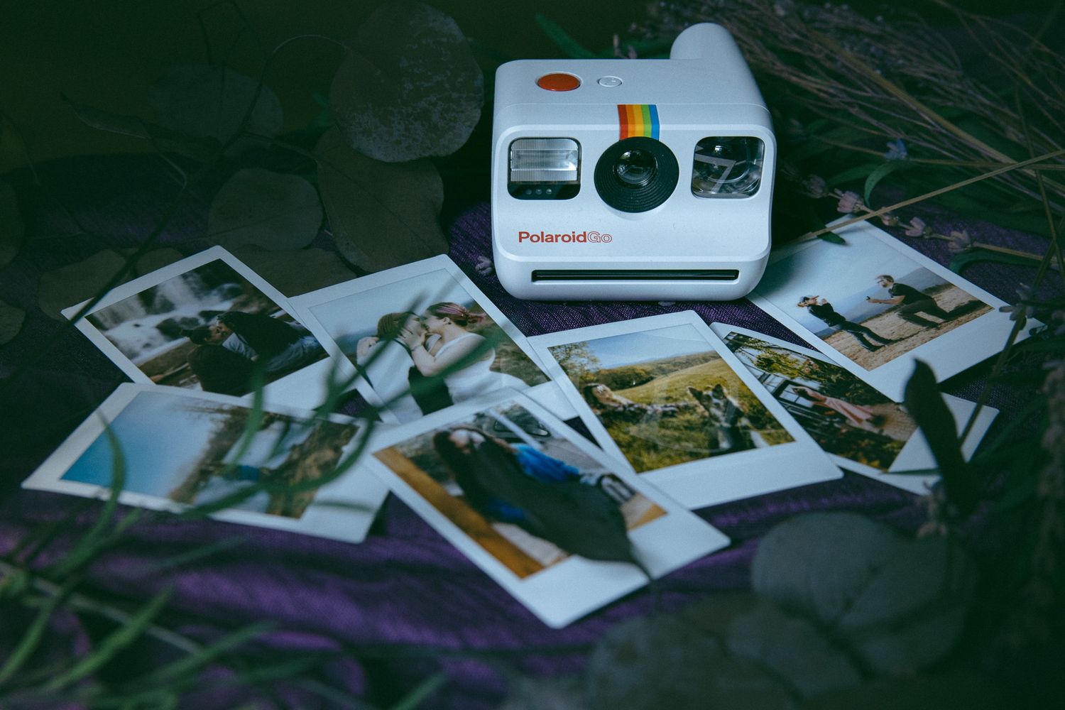 LGBTQ Asheville small business entrepreneur and photographer polaroid display during a professional branding photography session