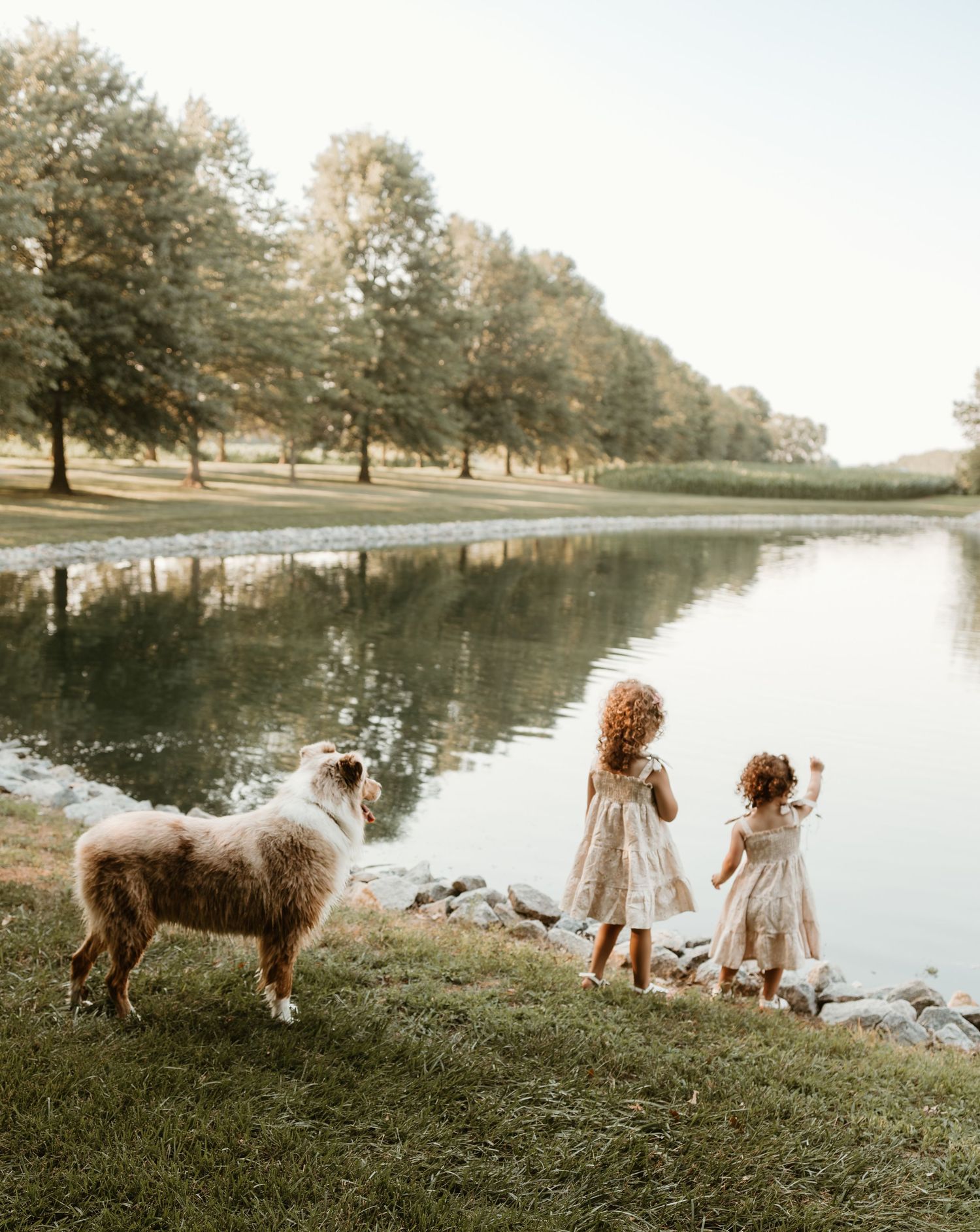 Children in flowy dresses stand by lake with dog as trees reflect in water.