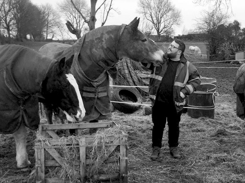 Draft horses wearing winter blankets stand by a feeding station in a muddy field while being tended to on an overcast day.