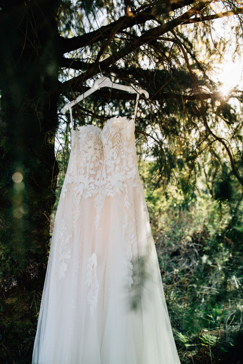 A delicate white lace wedding dress hangs from a tree branch with sunlight filtering through pine needles in the background.