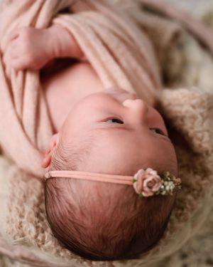 Newborn Photography