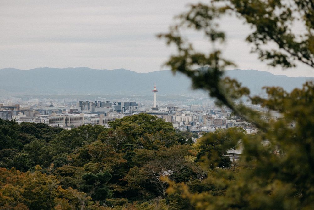 Kyoto cityscape with Kyoto Tower visible through trees from a hillside viewpoint.