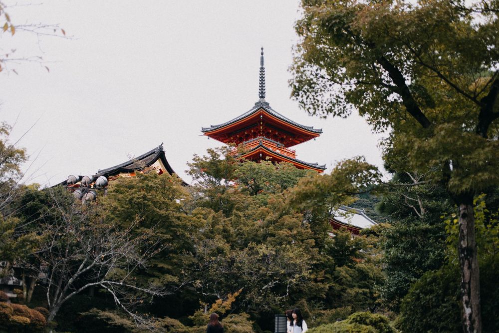 Red pagoda temple peeking through autumn trees in Japan.