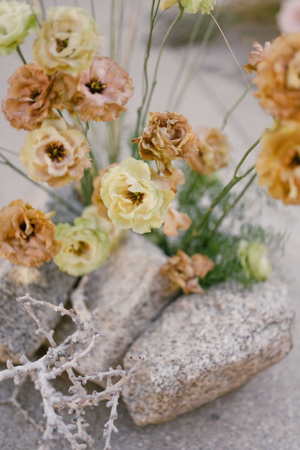 Delicate peach and cream flowers arranged on a textured stone surface.
