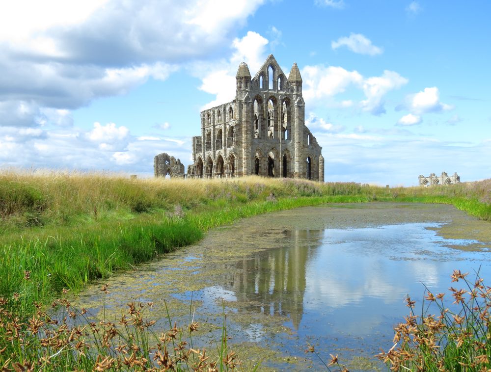 Ancient stone abbey ruins reflected in still water surrounded by green grass.