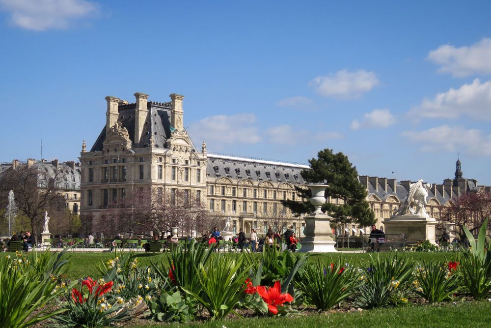 Louvre Palace with blooming red tulips in garden during spring in Paris.