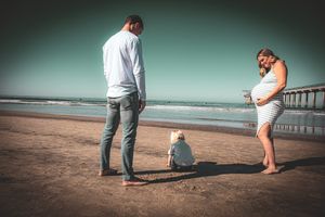 A family stands together on a beach with a pier while their small child sits in the sand.