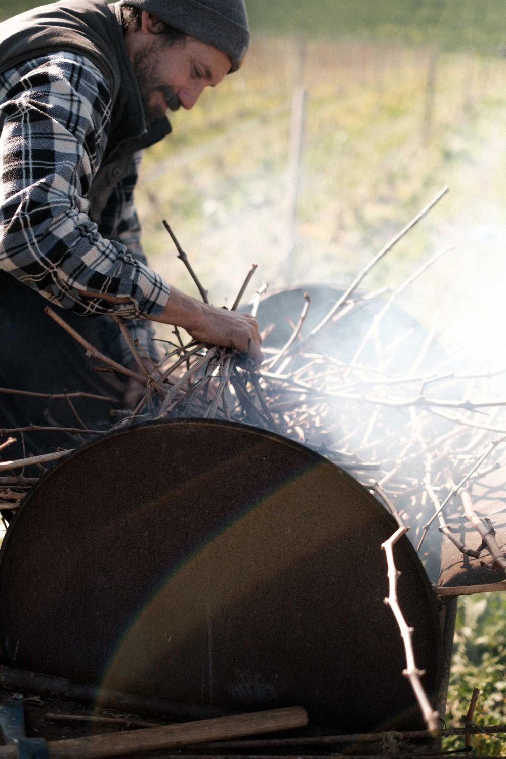 Person in plaid shirt and beanie working on pruning grapevines in a vineyard.
