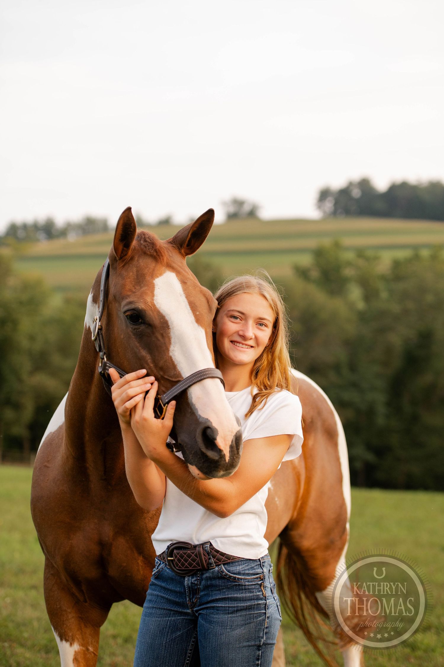 A brown and white paint horse receives affection in a sunlit pasture.