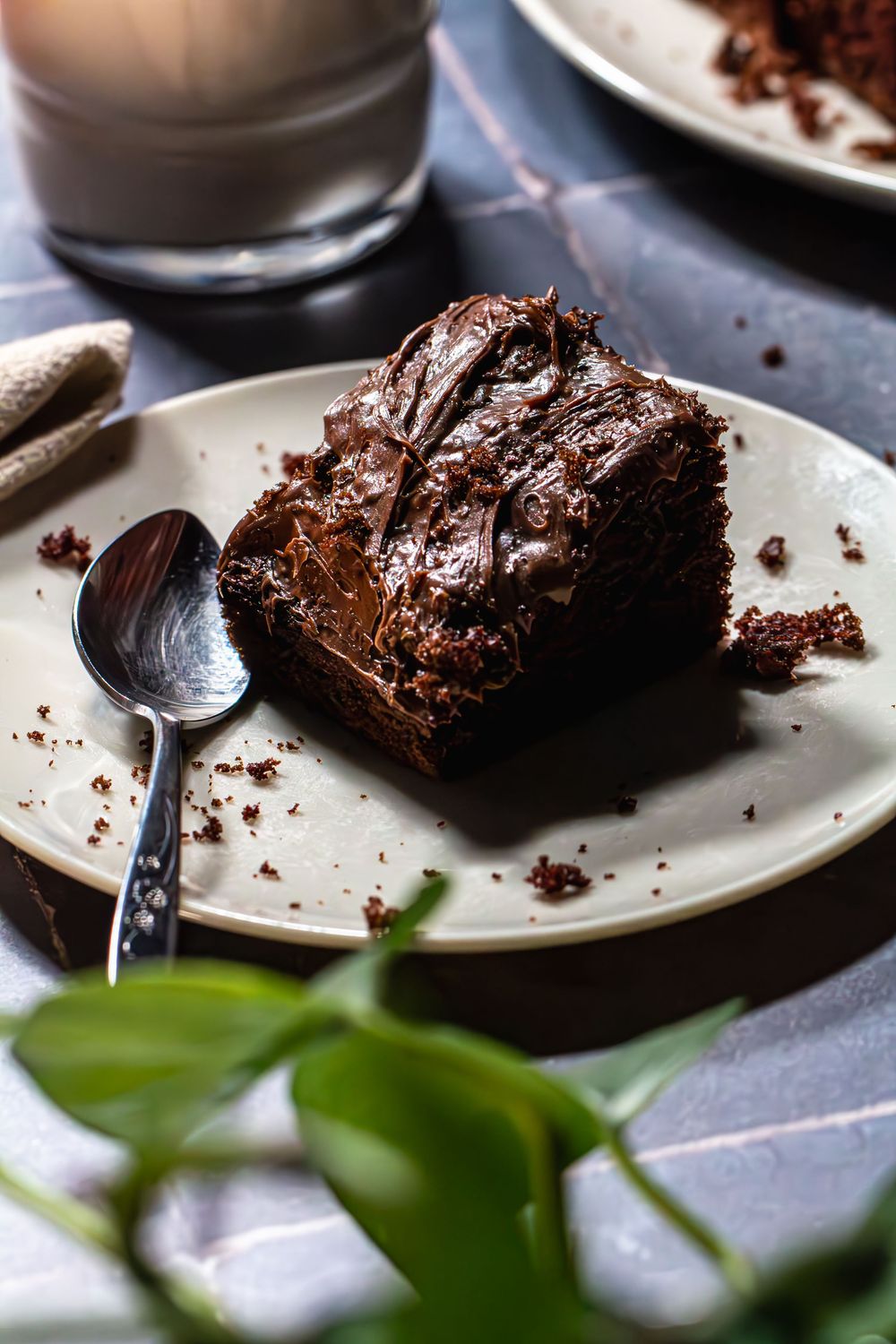 Homemade chocolate cake with rich dark chocolate frosting served on white plates against a dark background with green foliage in foreground.