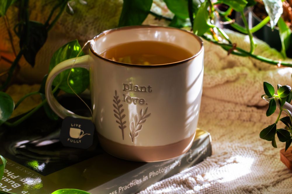 A white ceramic mug with botanical design holds steamy tea surrounded by green plants and soft lighting.