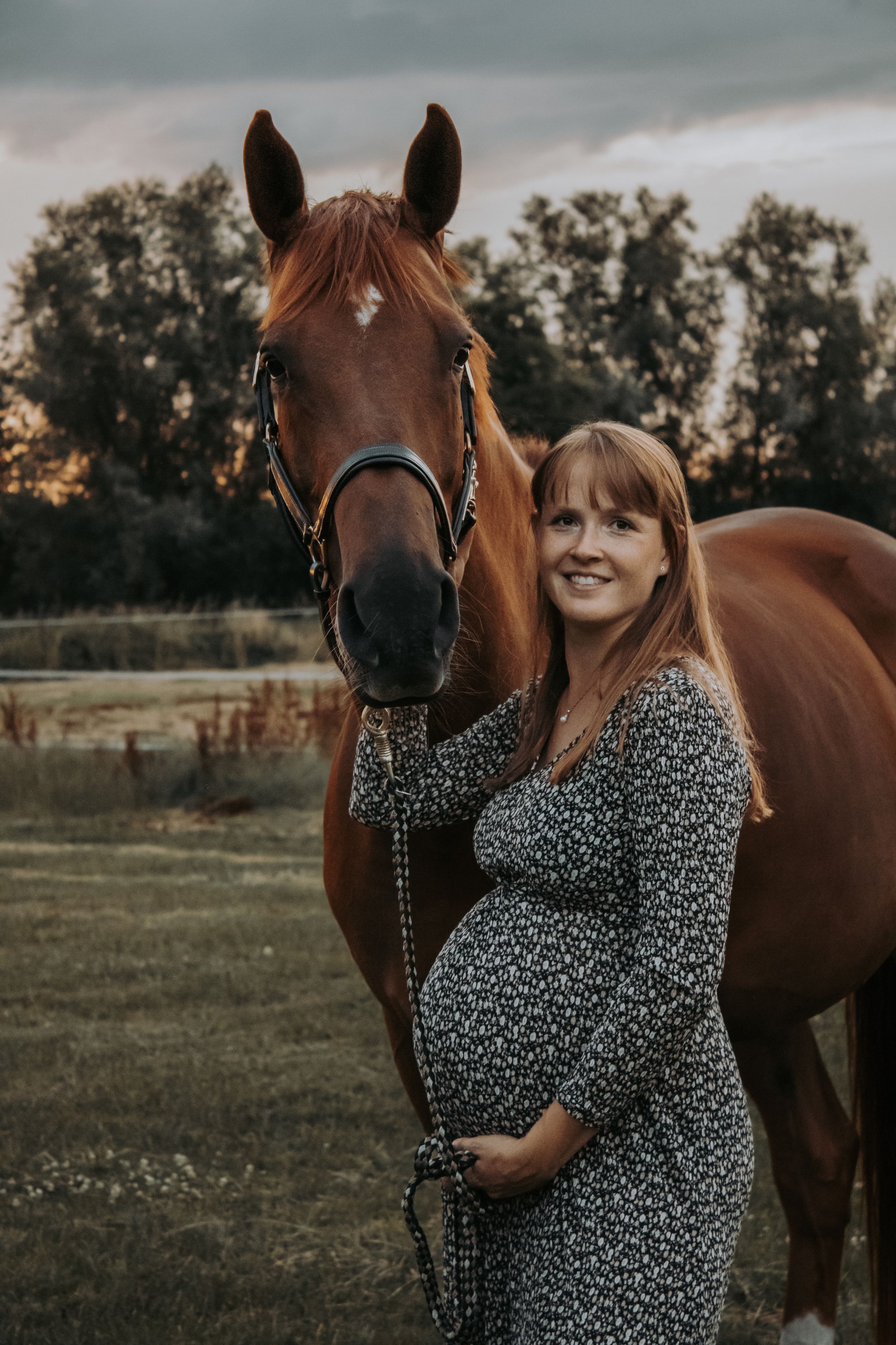 A beautiful brown horse stands beside someone in a floral dress at sunset in a pastoral field setting.
