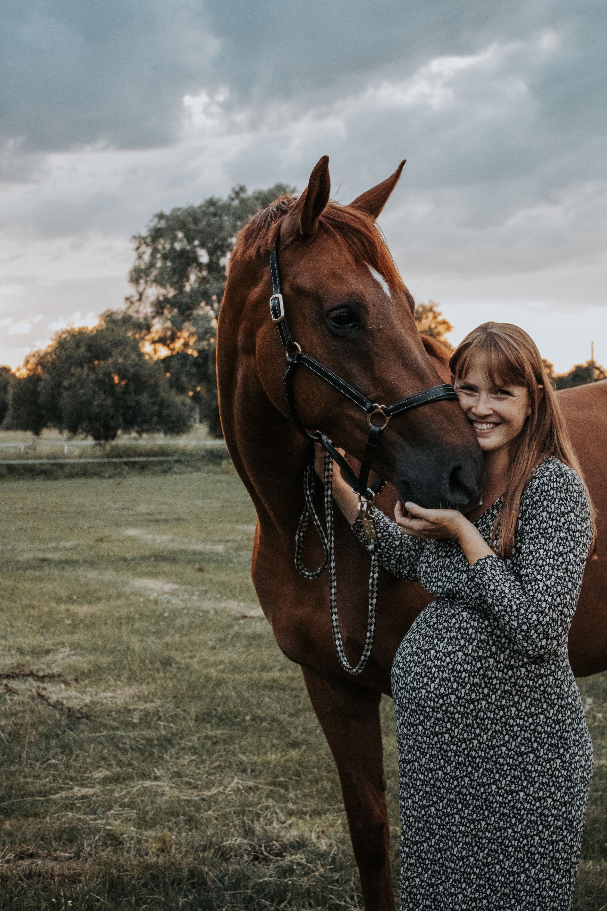 Beautiful brown horse with bridle stands in field under moody sky in a tender moment with someone.