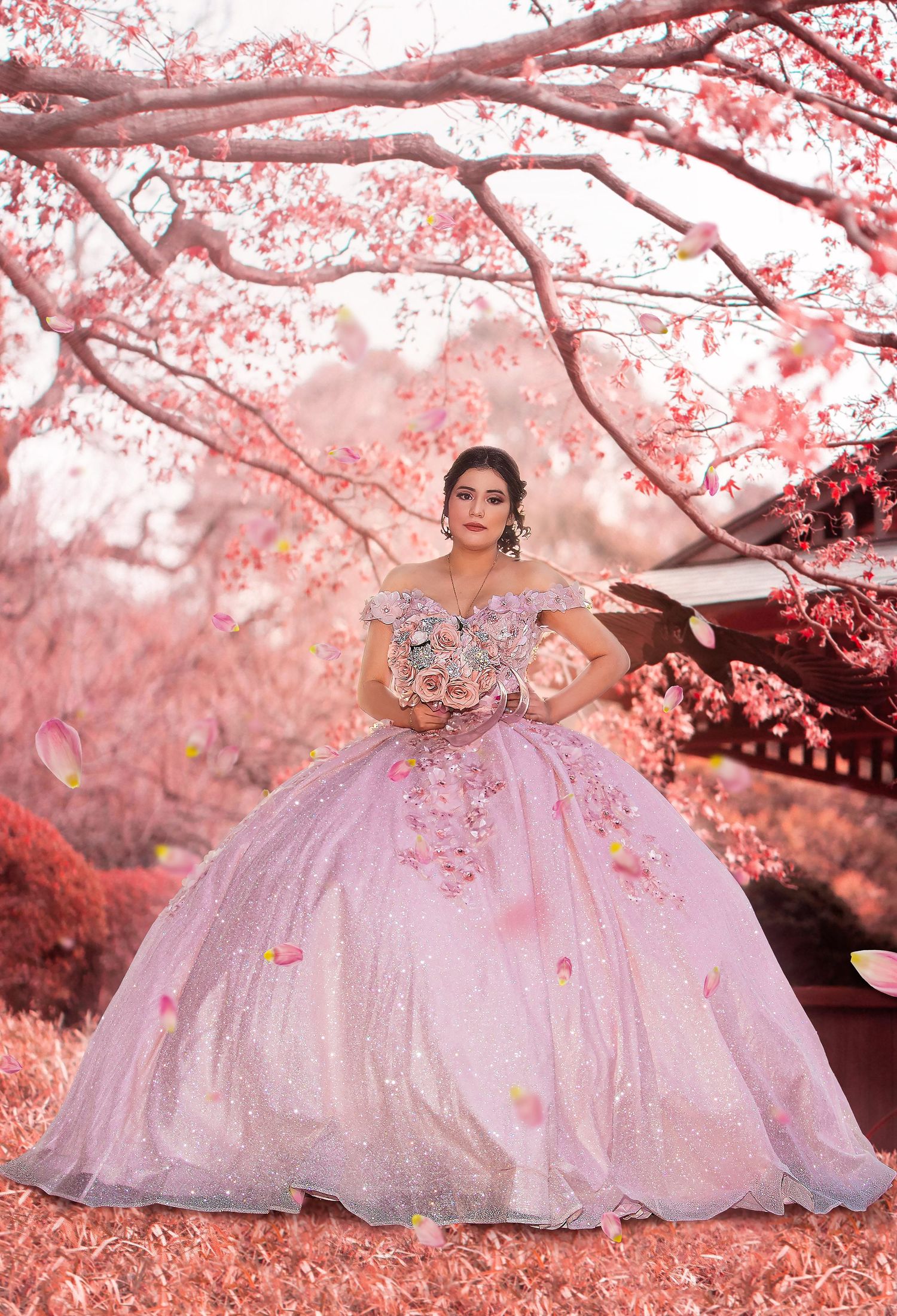 Capture life´s best moments 
Dallas Quinceañera photography and video 
Dallas Weddings photography and video