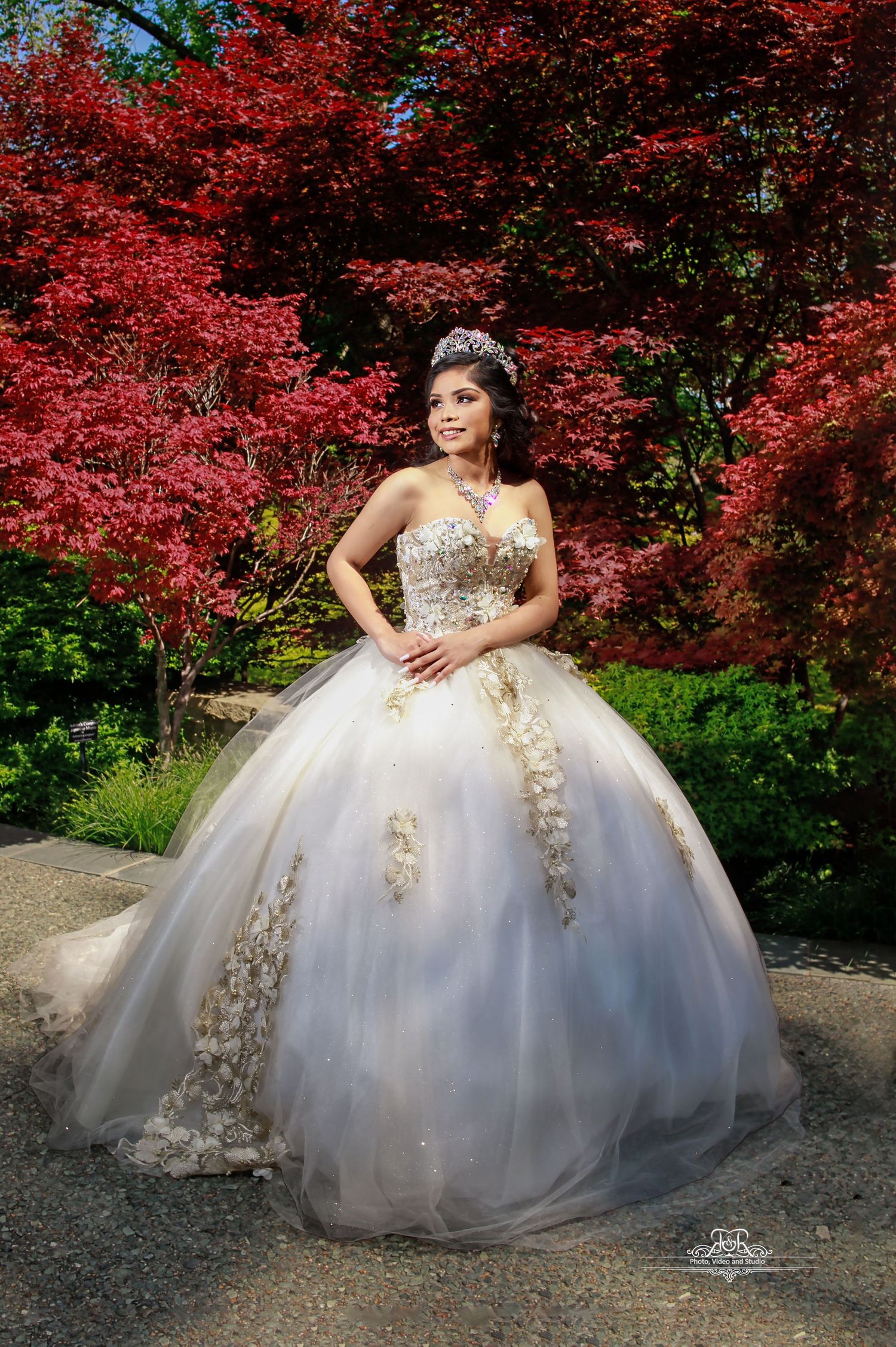 Capture life´s best moments 
Dallas Quinceañera photography and video 
Dallas Weddings photography and video