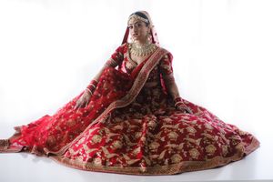 Elegant South Asian bride in red lehenga captured in studio lighting—perfect for luxury Indian wedding inspiration and bridal portraits.