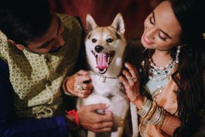South Asian couple with their dog at Hyatt Regency Chesapeake Bay, sharing a joyful moment during pre-wedding celebrations.