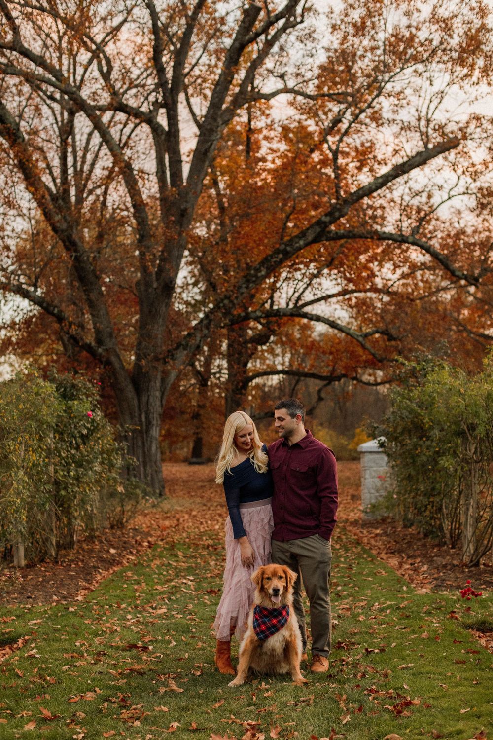 Romantic couple pose with their Golden Retriever under fall foliage on tree-lined path.
