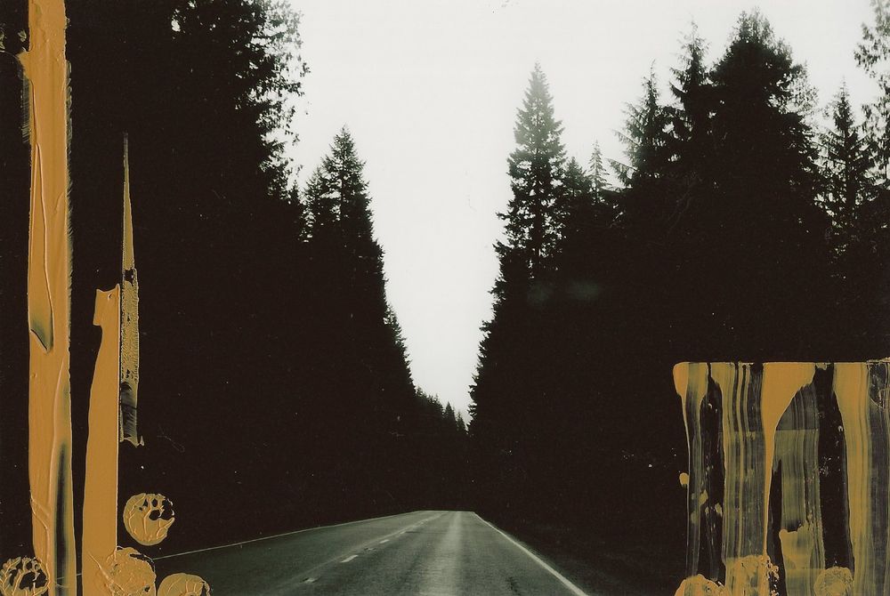 Dark tree-lined road through forest with atmospheric yellow paint streaks.