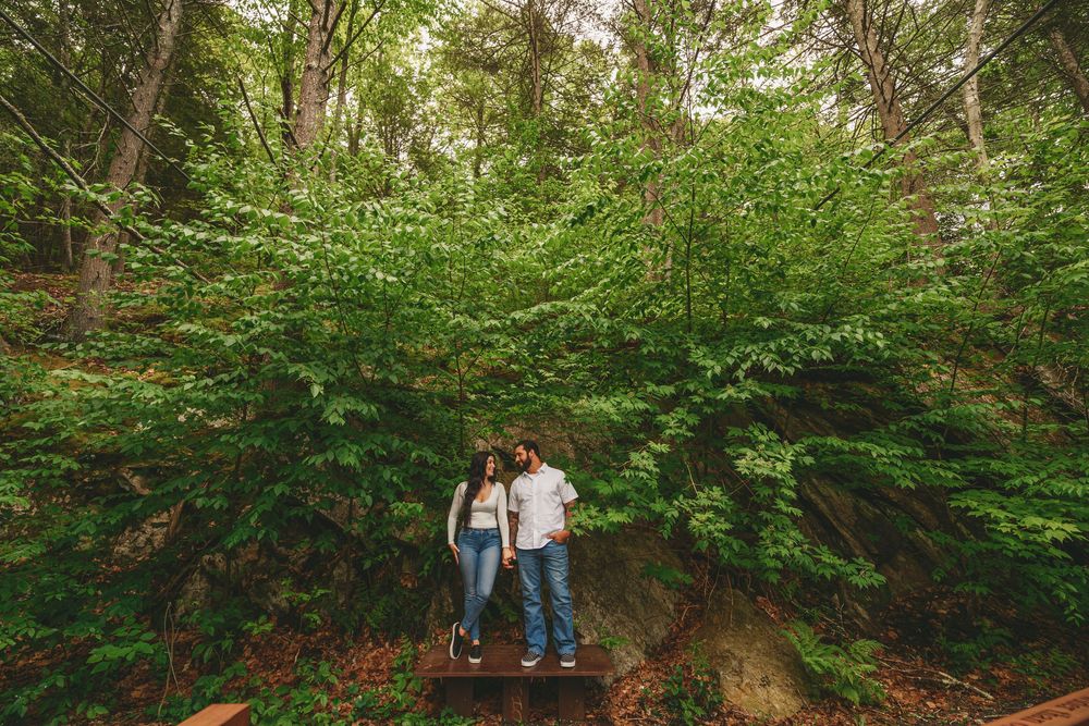 A series of scenic forest trail photos showing hikers exploring lush green woodland paths and natural settings.