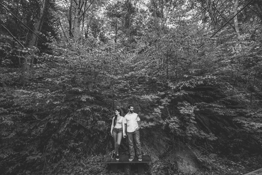 A scenic forest path with tall trees creates a dark tunnel-like canopy overhead in black and white.