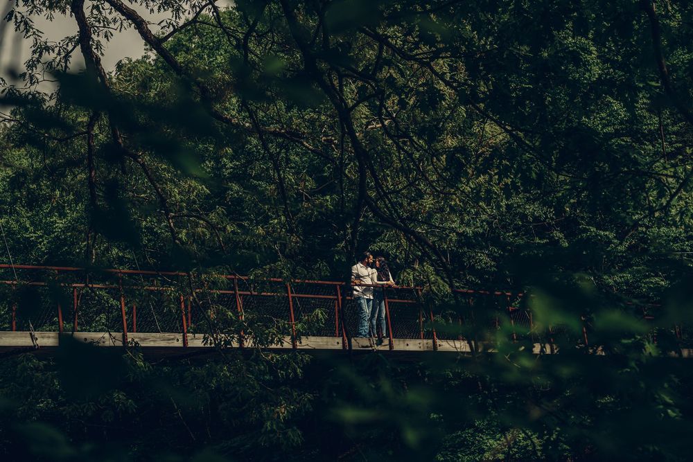 Silhouetted figures walk along a forest path surrounded by lush trees and greenery in a scenic outdoor setting.