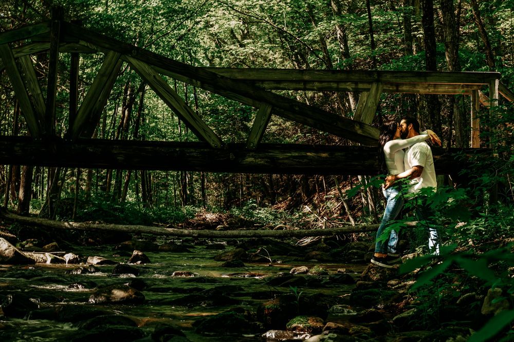 People explore a scenic woodland trail surrounded by lush green forest on a sunny summer day.