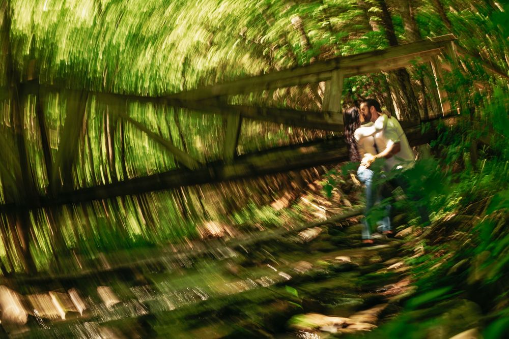 Mountain biker rides through lush green forest trail with sunlight streaming through the trees.