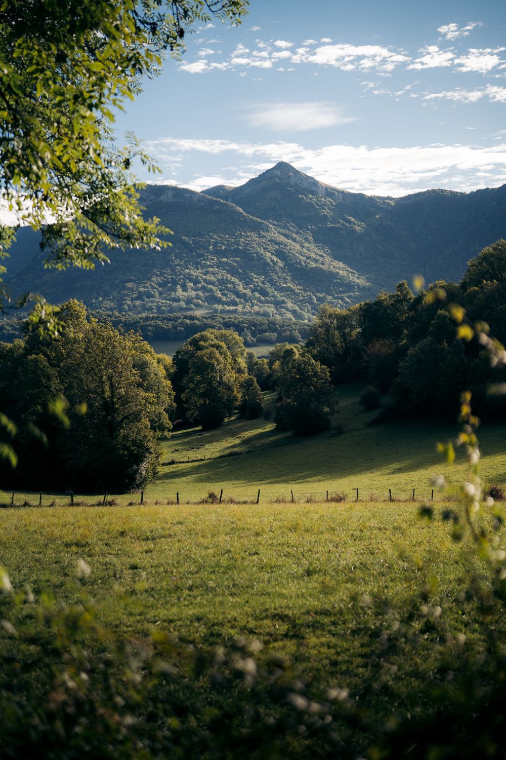 Massif des bauges