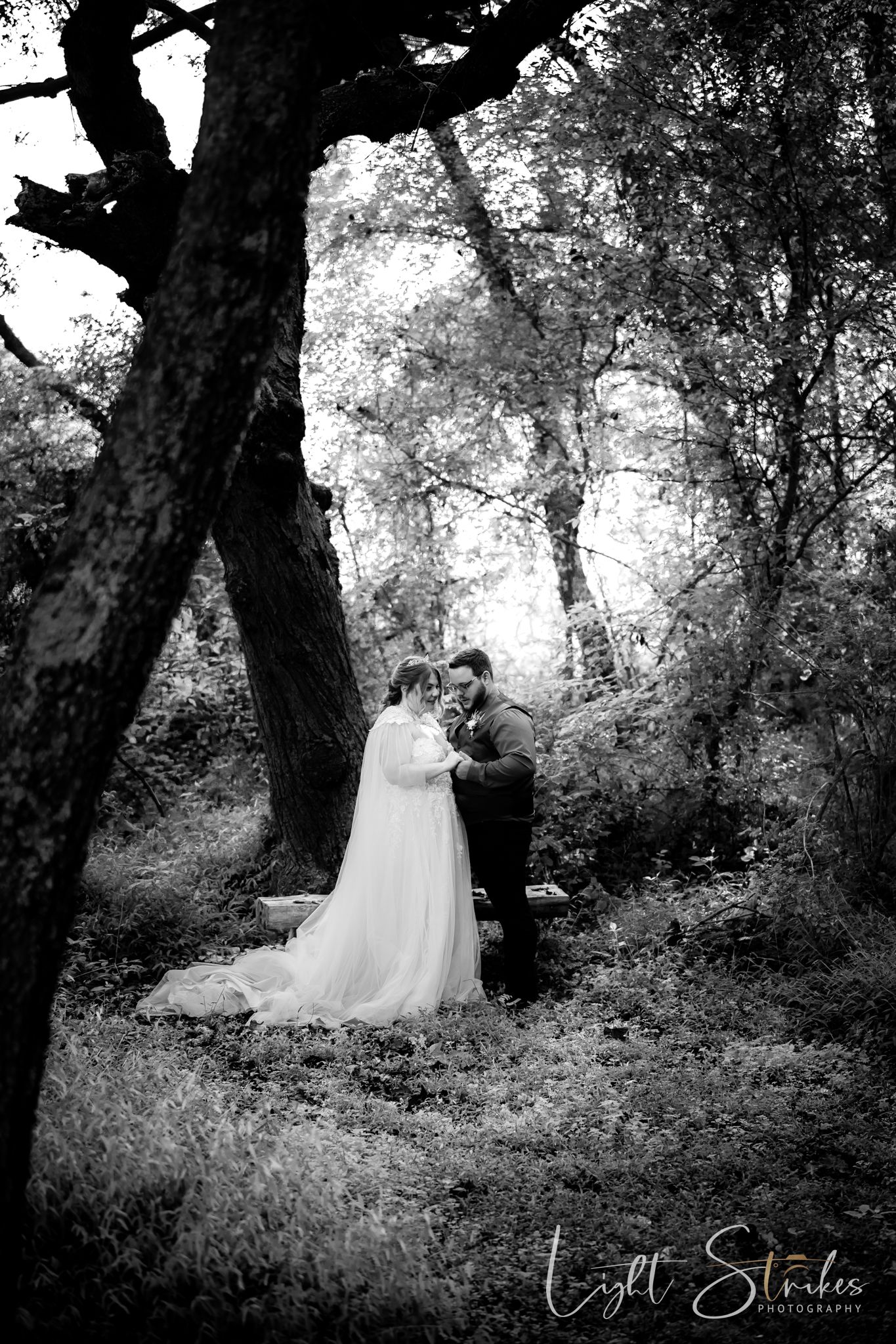 Bride and groom kissing under the golden Carolina sunset at their farm wedding.