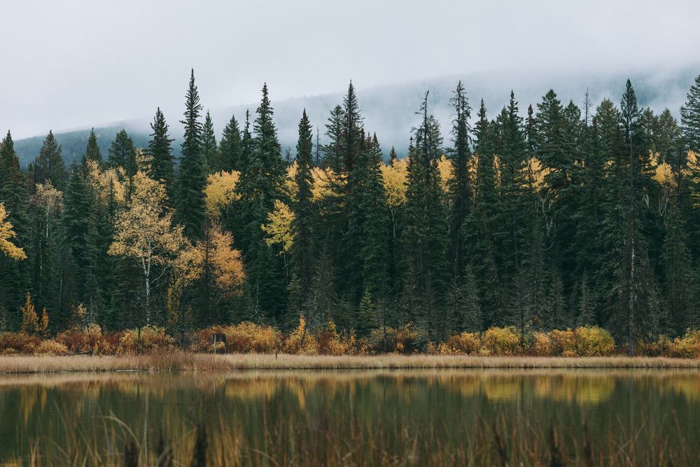 A panoramic view of evergreen forest and golden autumn trees reflecting in a calm lake during fall.