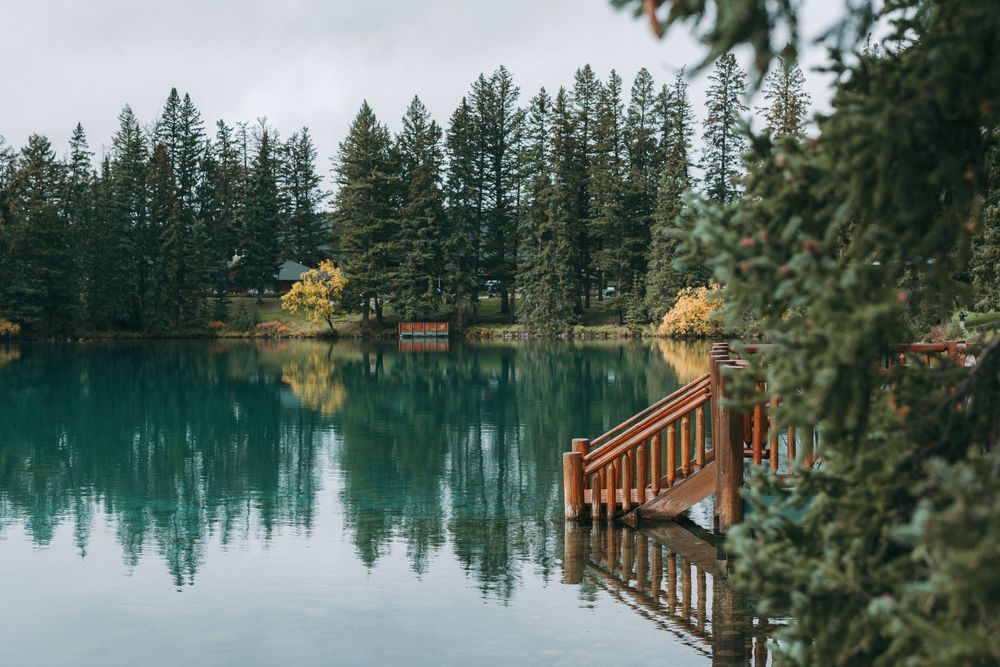 A serene lake surrounded by tall evergreen trees reflects the autumn colors in its calm waters.