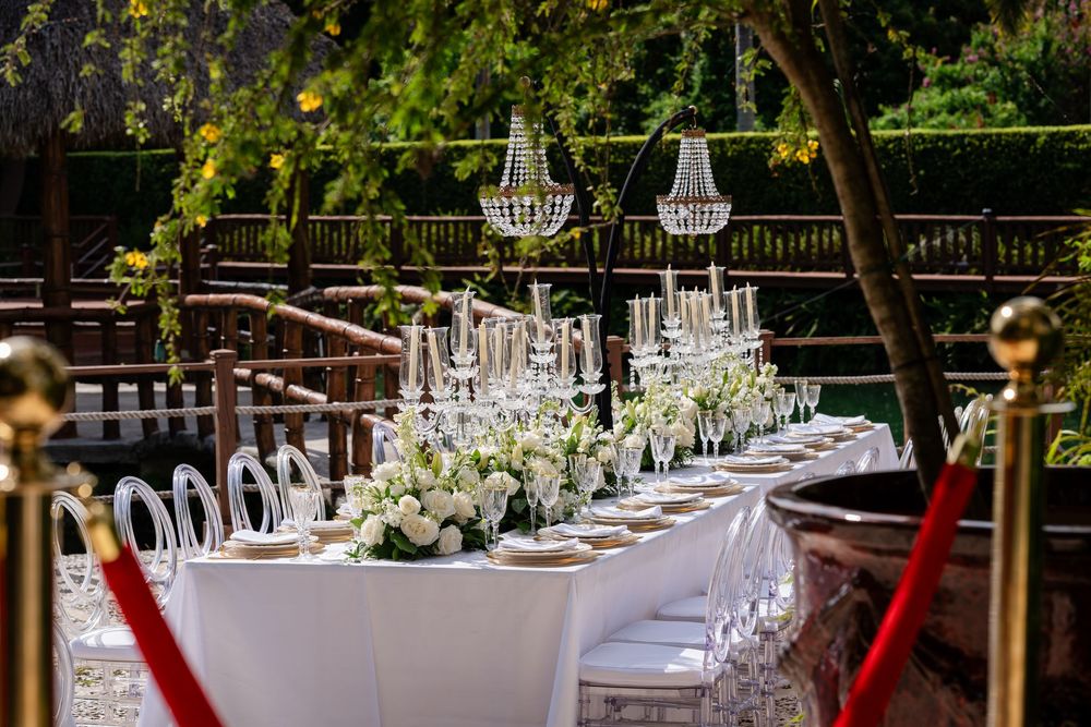 Outdoor wedding reception tables set under natural greenery.