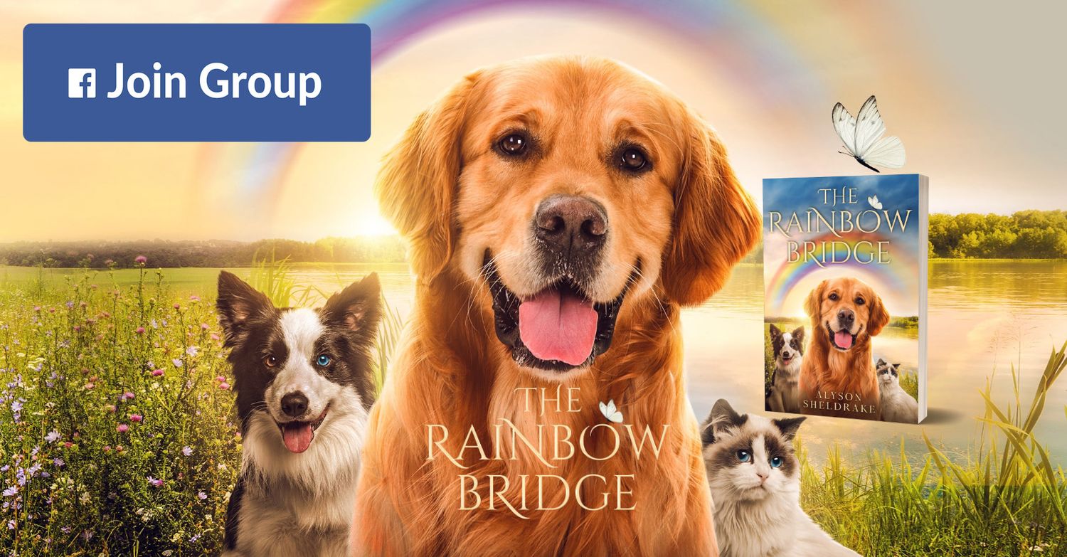 The Rainbow Bridge Facebook group banner with golden retriever and border collie in a sunny field with rainbow.