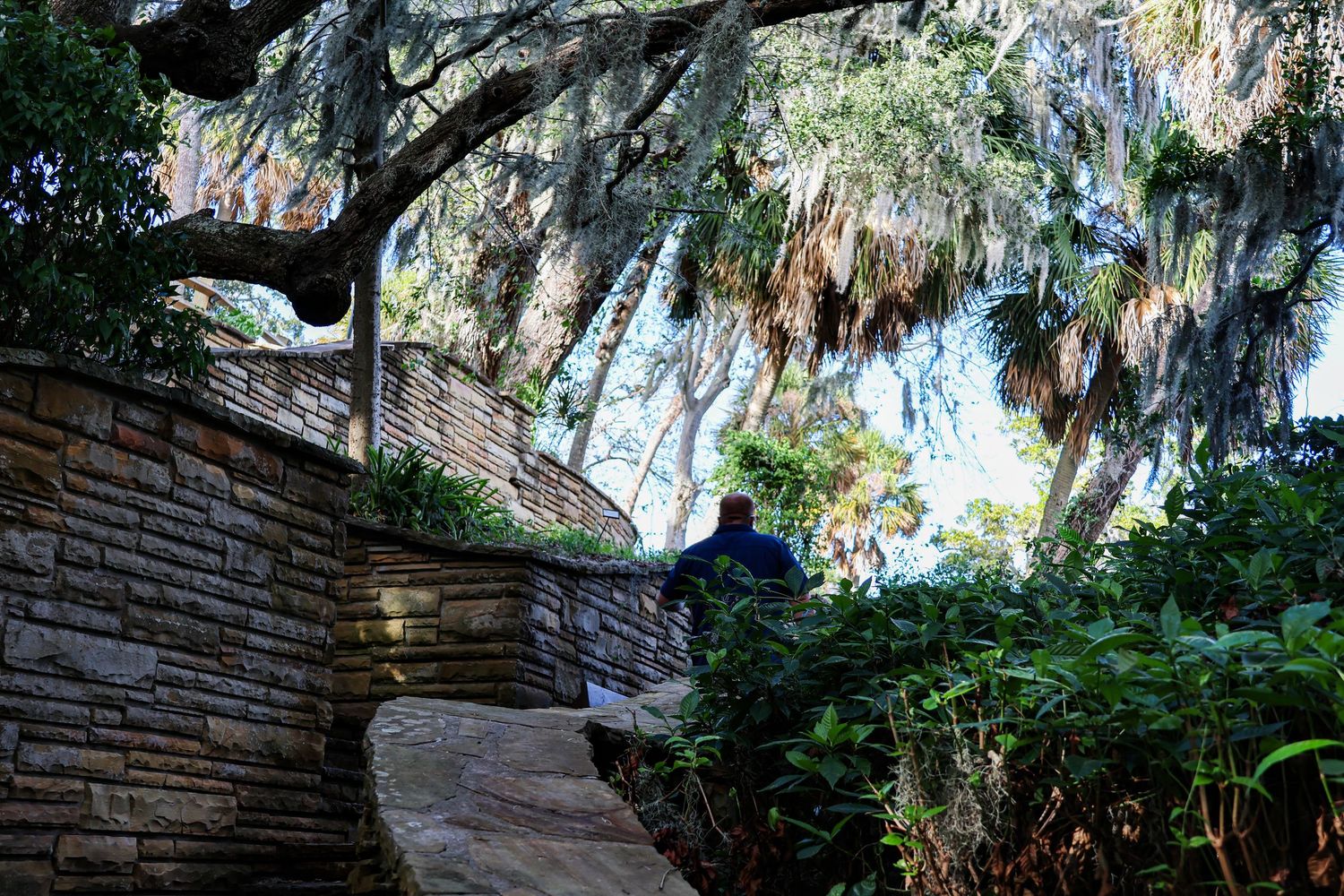 Lush garden pathway with Spanish moss hanging from trees and stone walls creating a tranquil walkway.
