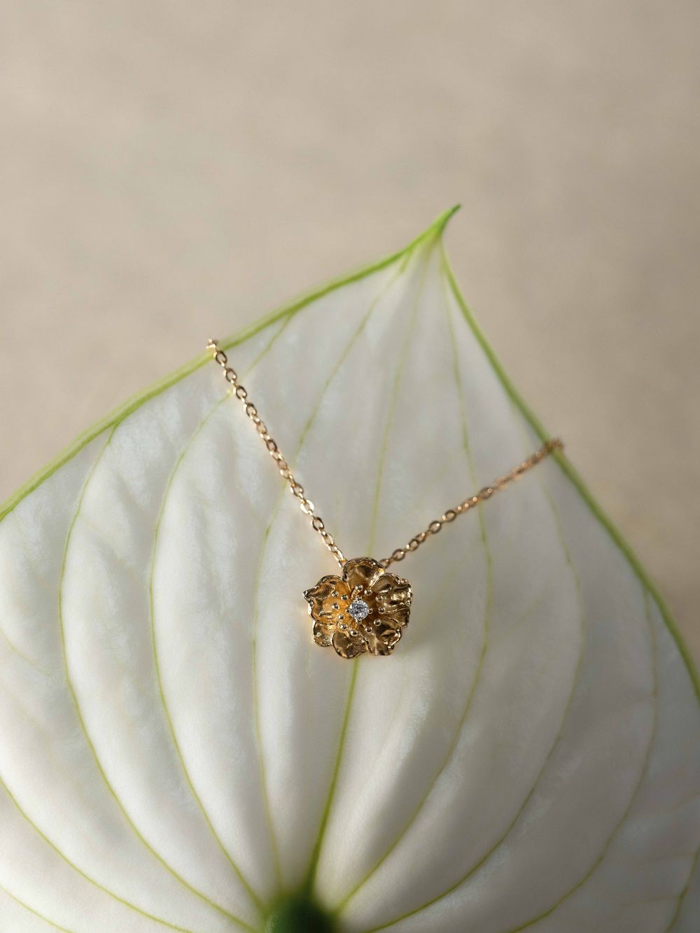 Delicate gold necklace displayed against soft white flower petals in a progression of artistic macro shots.