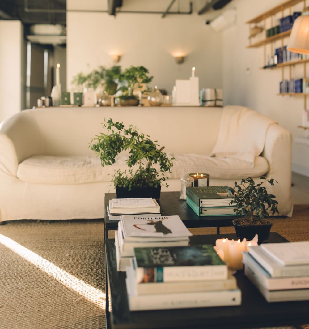 Sunlit home office desk with books, plants, and minimalist decor creating a peaceful workspace atmosphere.