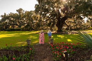 A sunlit garden path with red flowers leads to a majestic oak tree draped in Spanish moss at golden hour.