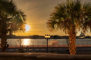 A golden sunset over a waterfront with palm trees silhouetted against the sky and a boat in the distance.